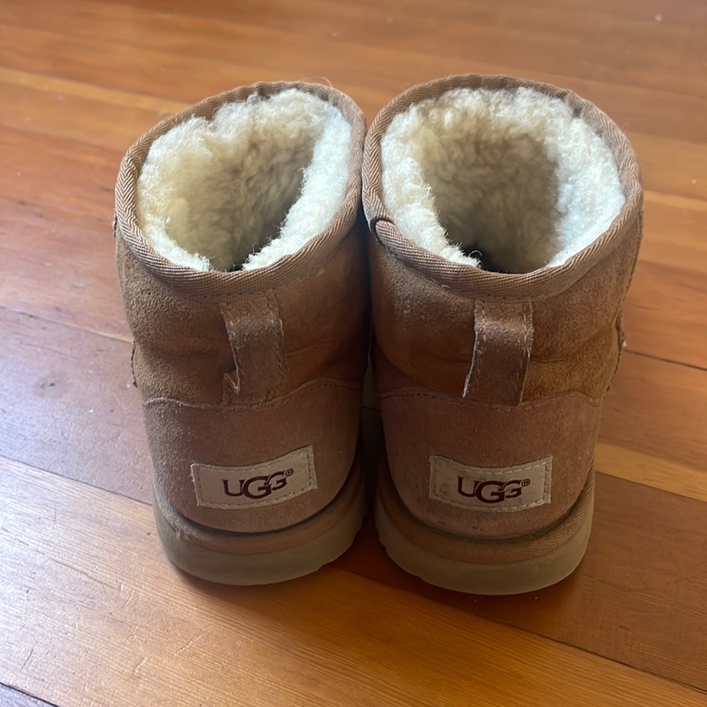 Short chestnut Uggs